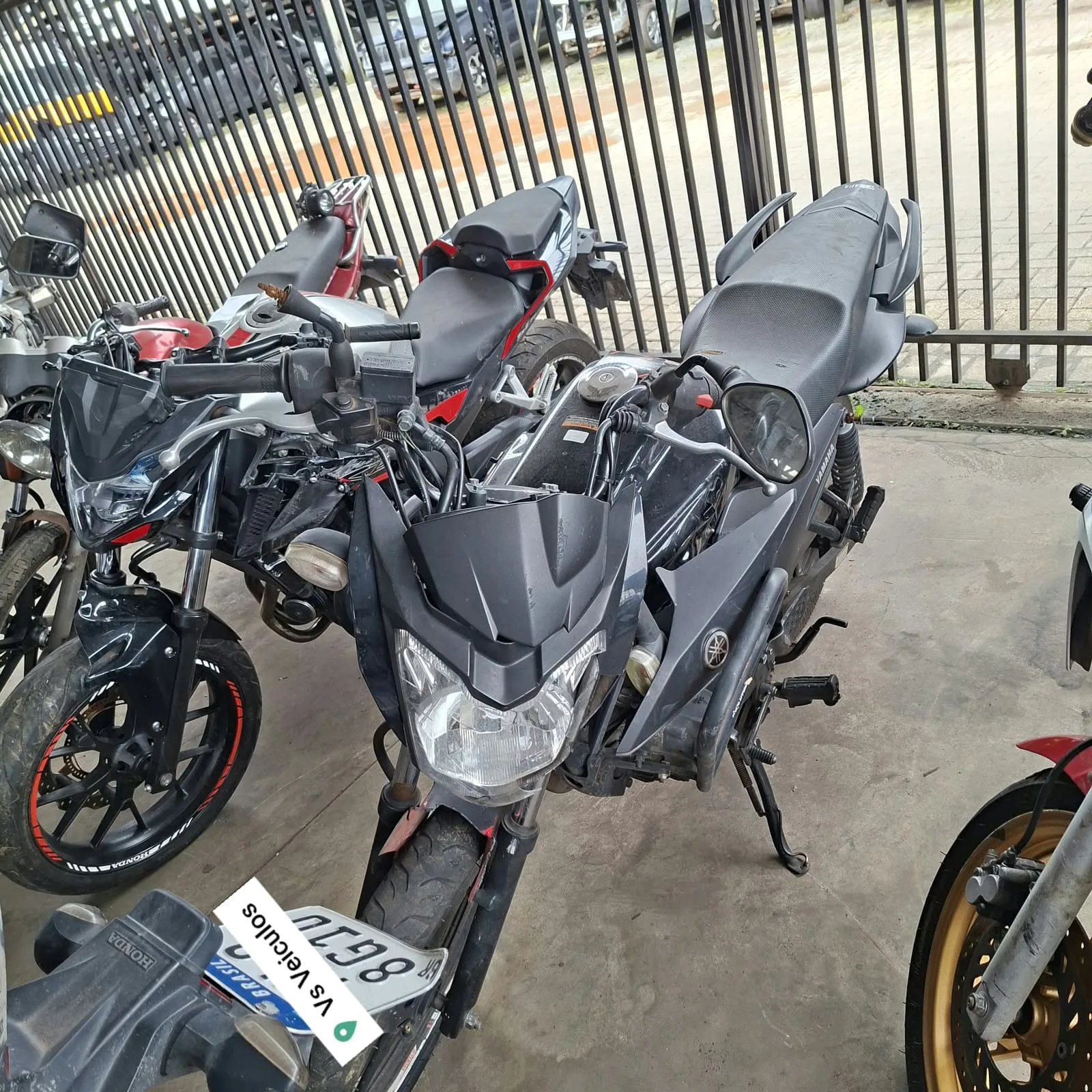 YAMAHA YS 2022
