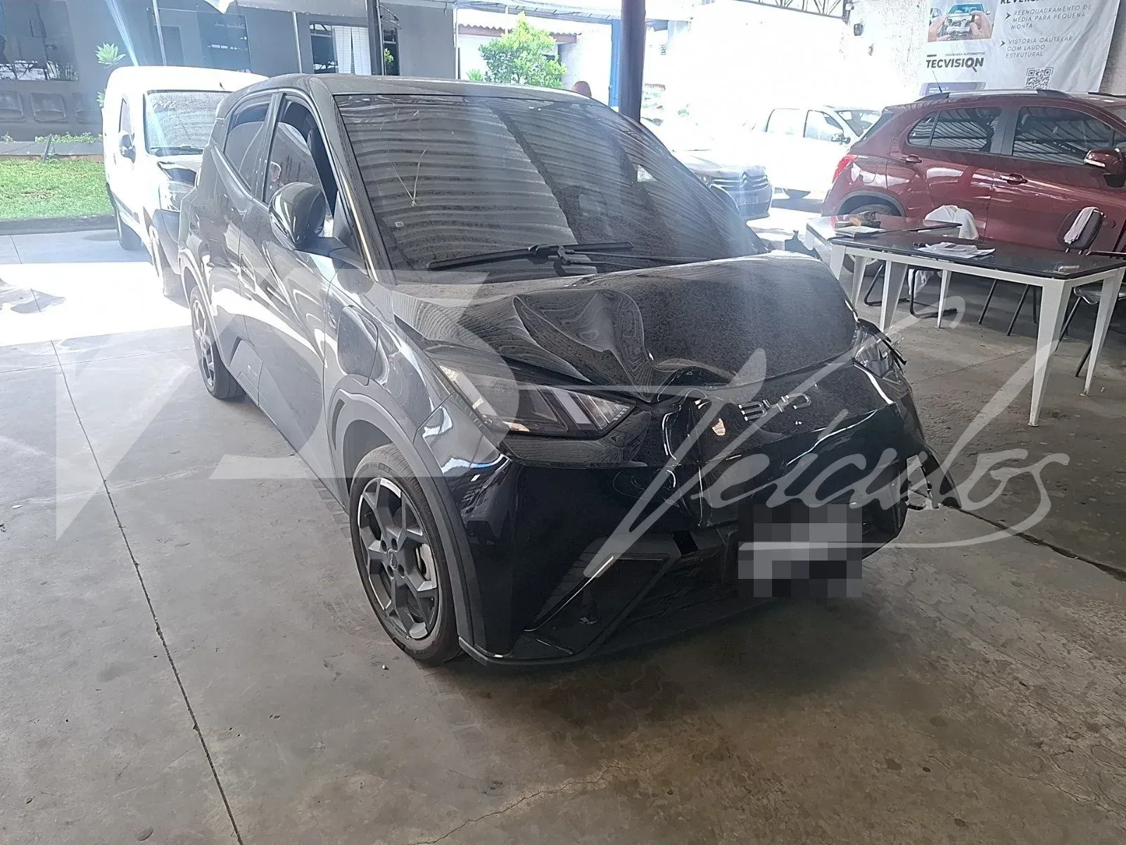 BYD DOLPHIN 2026